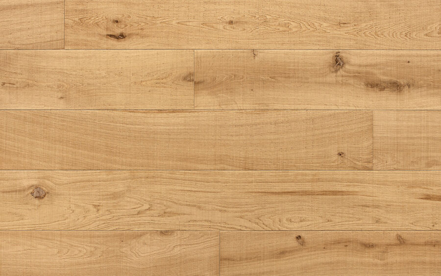 A021 rovere materia rovere 1