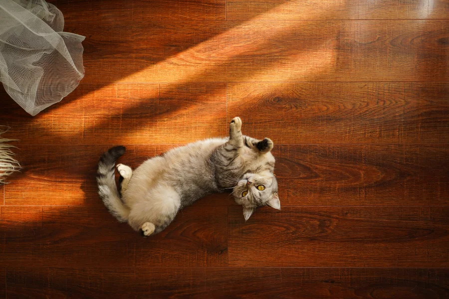scratch free floors